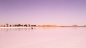 Paysage du lac Rose au Sénégal avec une rive naturelle et des arbres sous une lumière douce