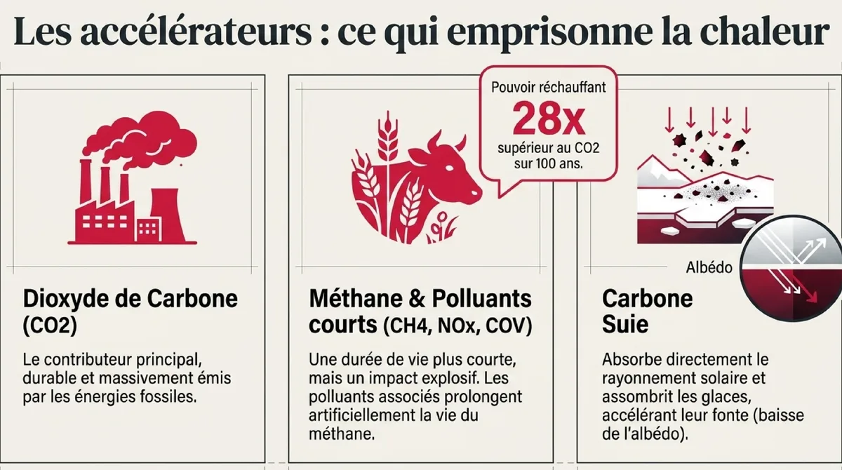 Infographie Forçage radiatif naturel vs anthropique : démêler le vrai du faux