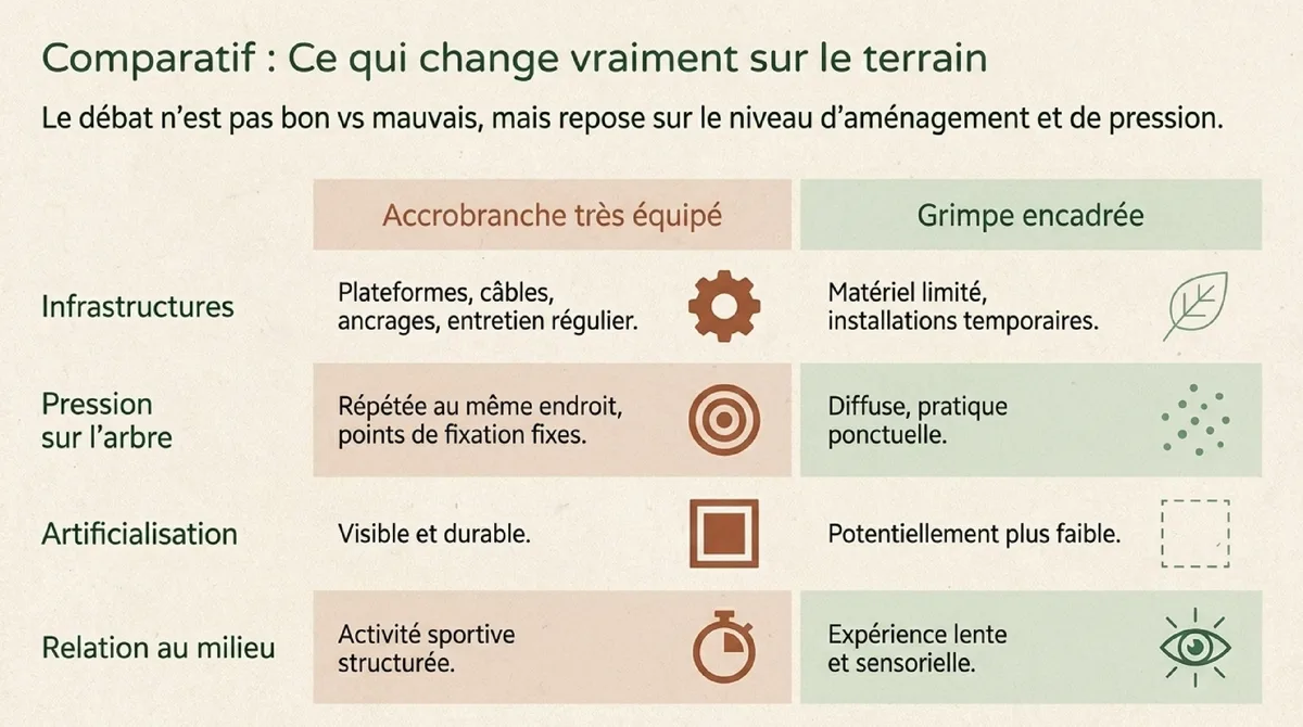 Infographie Accrobranche et grimpe : ce qui change vraiment